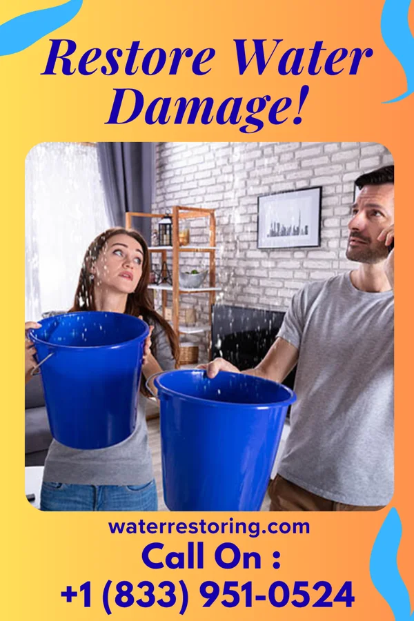 water restoration Direct Sewage Cleanup Authority Springville