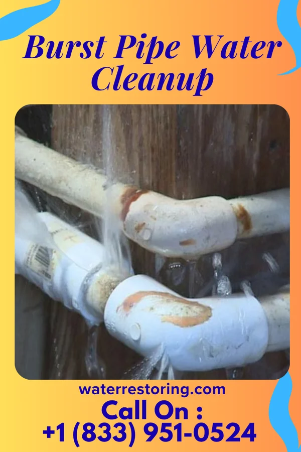 Burst Pipe Water Cleanup in Springville, VA