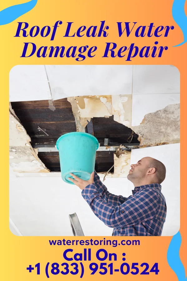 Roof Leak Water Damage Repair in Springville, VA