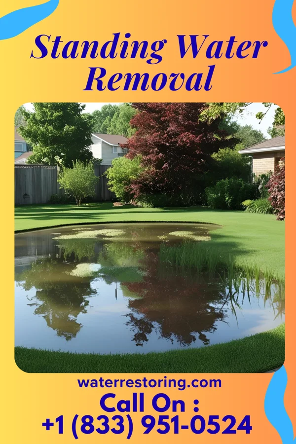Standing Water Removal in Springville, VA
